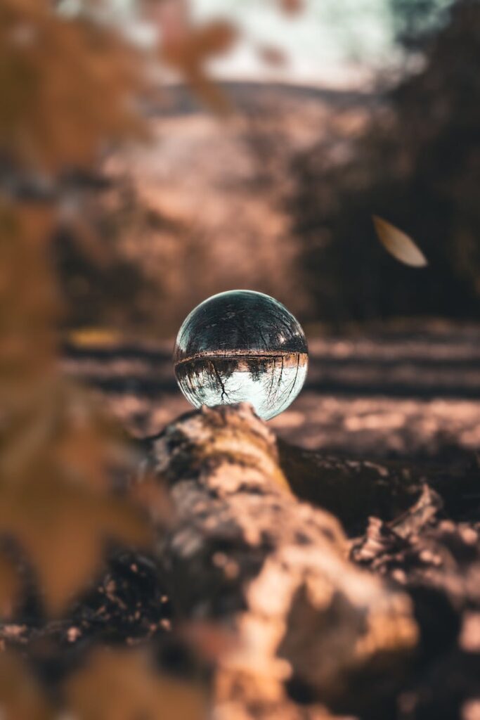 Lensball capturing an upside-down autumn landscape in Manchester forest.